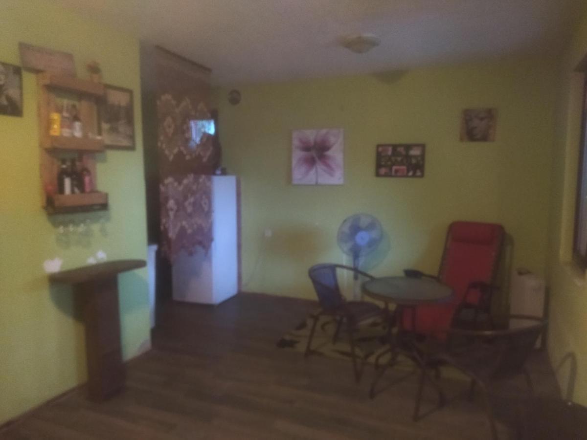 Bor, Savaca - Porodicna Vikendica Za Izdavanje Exterior foto